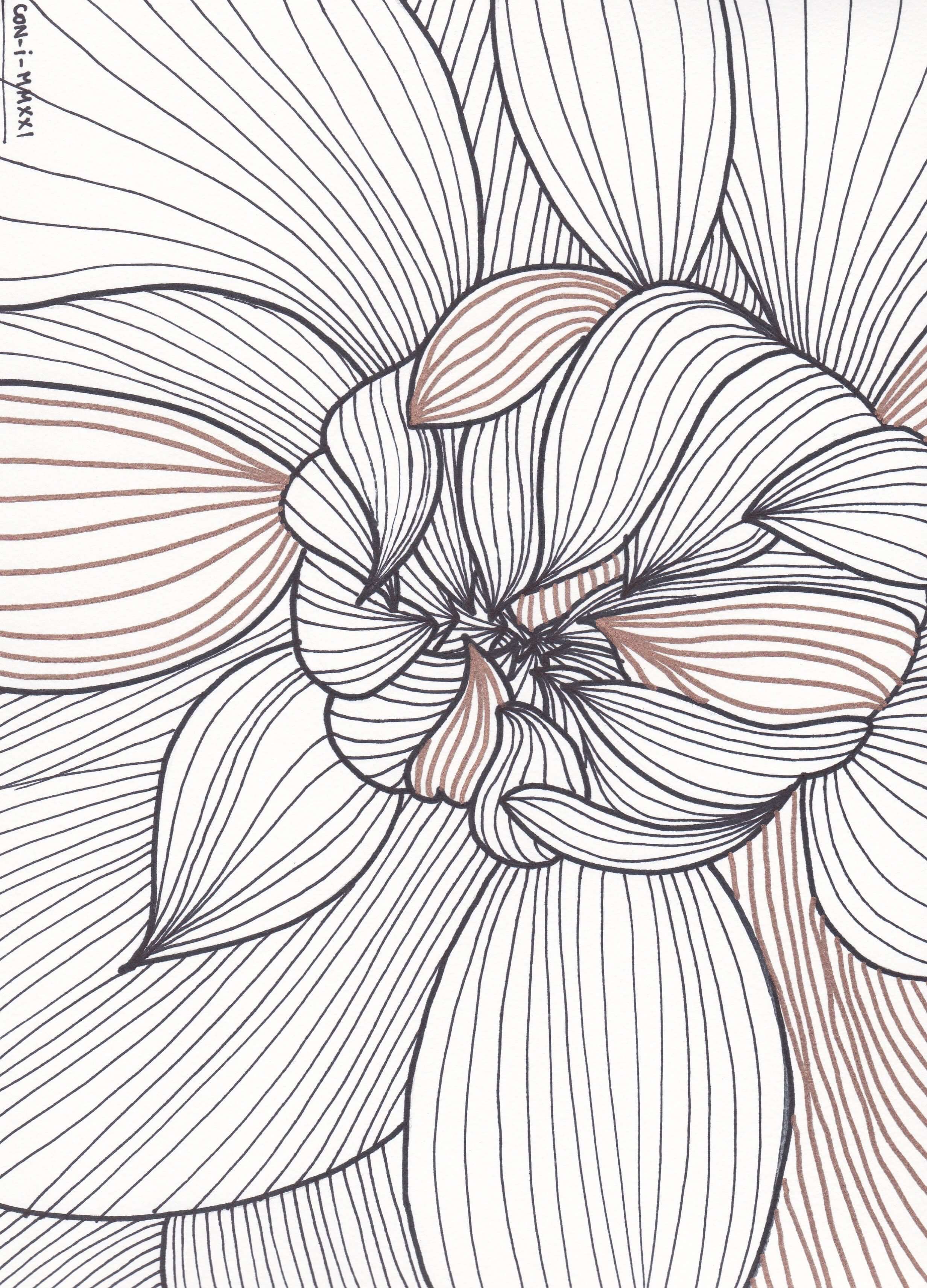Floral line art